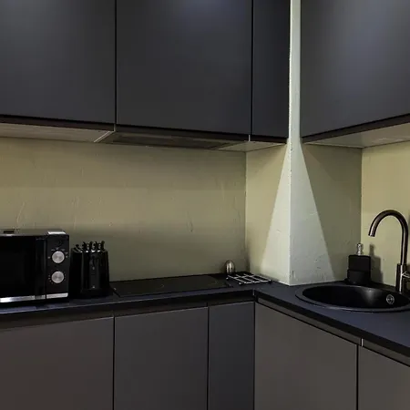 Gold & Platinum Garibaldi Executive Apartment Milan